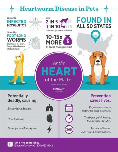 How Important Is Heartworm Prevention For Dogs?