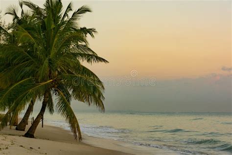 The Beautiful Beaches of Dar Es Salaam at Sunrise Stock Photo - Image ...