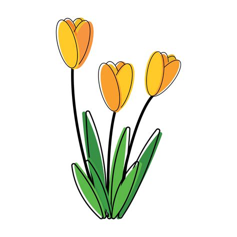 Tulip Flower Clip Art Outline with Yellow Cute Color Vector Animated ...