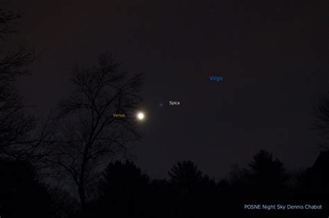 Venus brightest late November and early December | Tonight | EarthSky