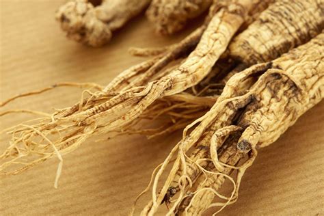 American Ginseng - WholisticMatters