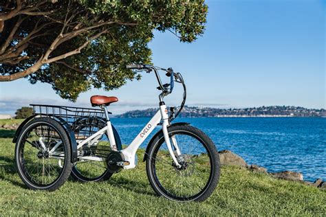 Choosing the Right Electric Tricycle: A Comprehensive Buyer's Guide ...