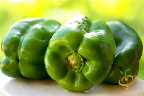 Pepper Varieties, Bell Pepper Varieties