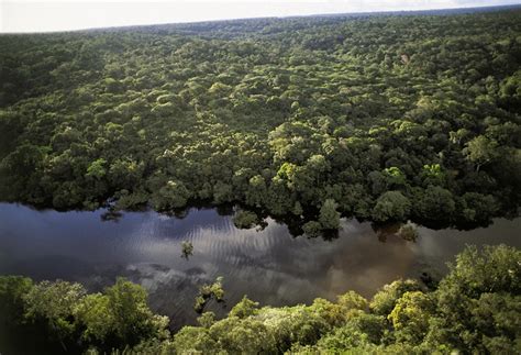 Rondônia | Viagem e Turismo