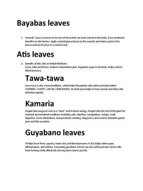 Bayabas Leaves | PDF