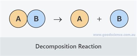 Decomposition Products | Quizizz