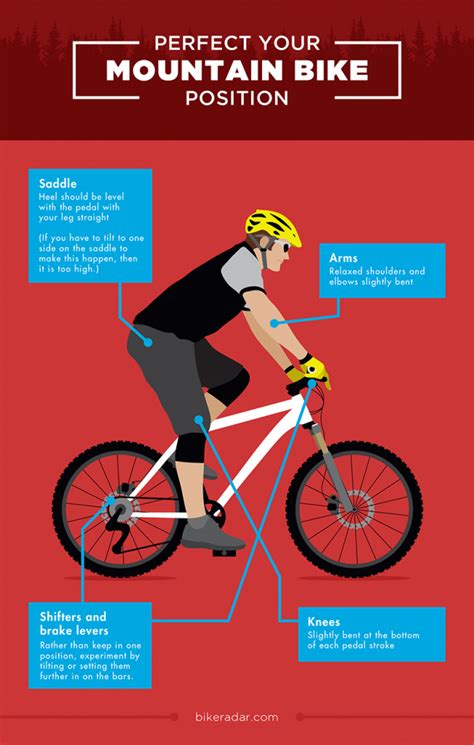 New to Mountain Biking? Essential Tips to Gain More Confidence – Cycle ...