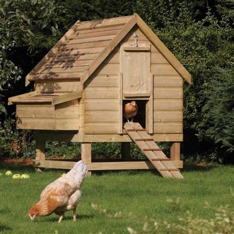 Pressure Treated Chicken Coop - Houses 6 Chickens | ShedsFirst