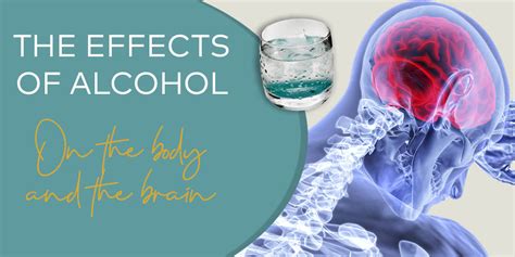 Effects of Alcohol on the Body and Brain - Oro House Recovery