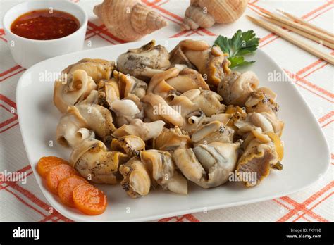 Whelks seafood hi-res stock photography and images - Alamy