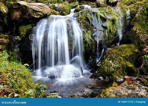 The Triberg Waterfalls are the Highest Stock Image - Image of germany ...