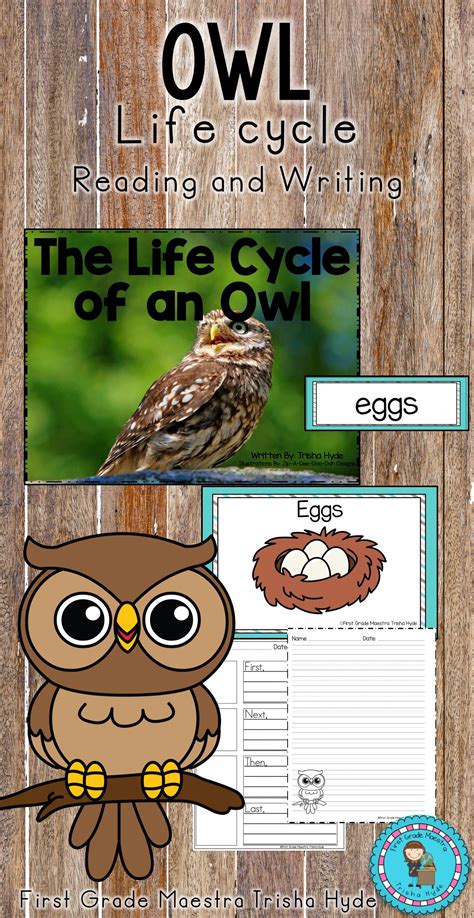 Is your class learning about owls? This owl life cycle unit is perfect ...