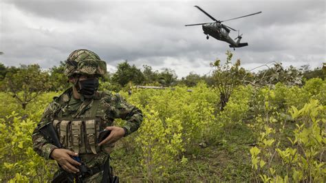 For Petro, Colombia’s War on Drugs Will Be Tough to End | WPR