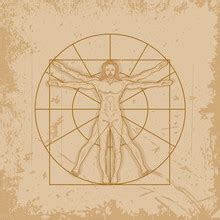 Vitruvian Man Vintage Drawing Free Stock Photo - Public Domain Pictures