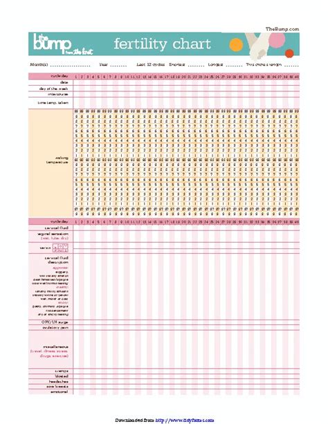 Fertility Chart - PDFSimpli