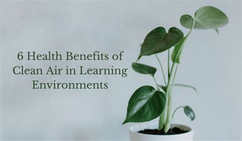 6 Health Benefits Of Clean Air In Learning Environments - Janitorial ...