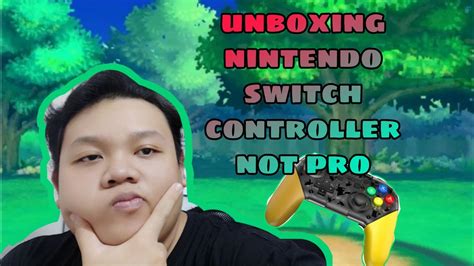 Nintendo switch pro controller - YouTube