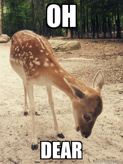 OH DEAR - O M G Deer Meme Generator