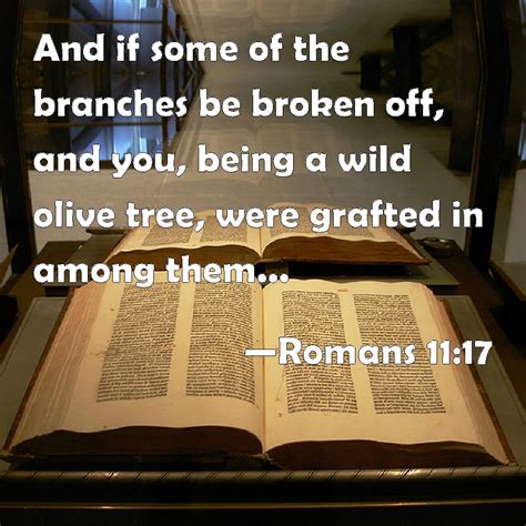 Romans 11:17 And if some of the branches be broken off, and you, being ...