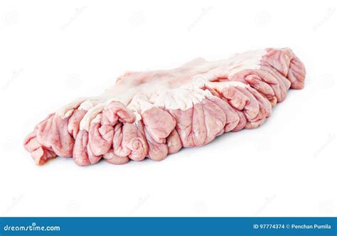 Internal organs of pig. stock photo. Image of bacon, entrails - 97774374