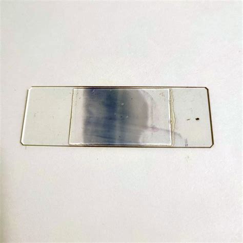 1pcs human blood smear Giemsa Stain, wholesale prepared microscope slides