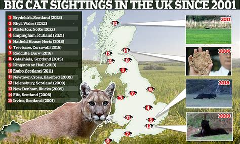 What IS the truth behind big cat sightings in the UK?: Map reveals ...