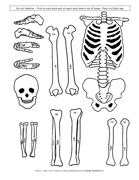 Large Skeleton Cut Out Printable