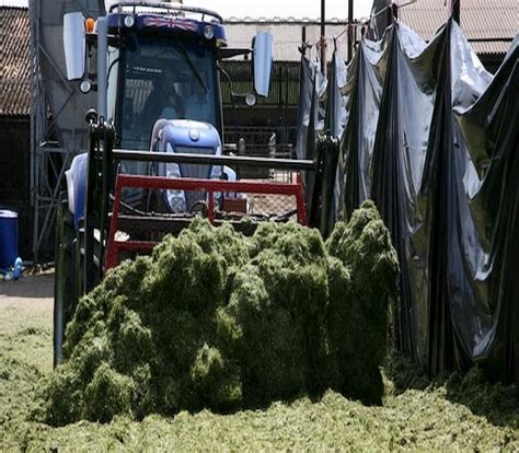 Encouraging early grass silage results - Farm Safely