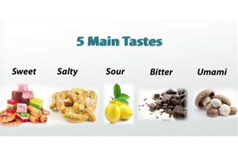 The Taste Test | Zojirushi Blog