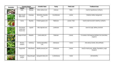 Pharmacognosy - 10 Medicinal Plants Sampung Halamang Gamot ...