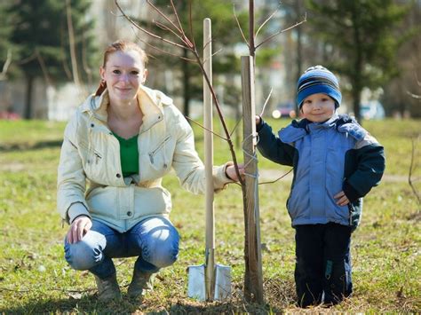 5 Best Trees To Plant In Fall: What Trees Can Be Planted In The Fall | Gardening Know How