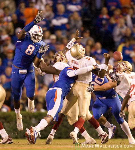 Gator linebacker Brandon Hicks sacks and strips the ball from Seminole quarterback E.J. Manuel ...