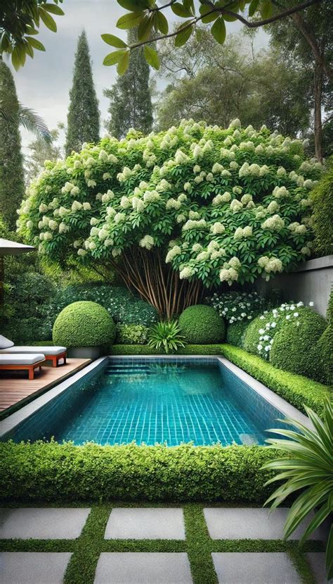 15+ Unique Shrubbery Landscaping Ideas for Instant Garden Charm (2024)