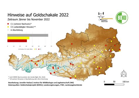 Statusberichte und Verbreitung – golden jackal project austria