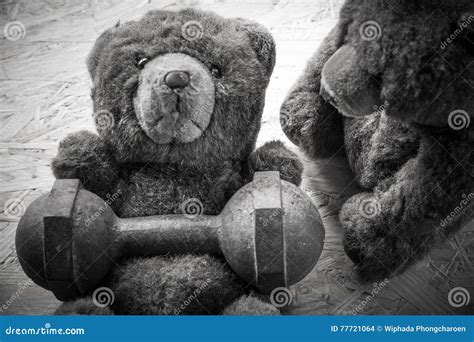 Teddy Bear Exercise Workout At The Gym Stock Image | CartoonDealer.com ...