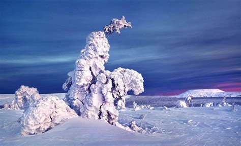 Photos of Amazing ice and snow formation in Russia