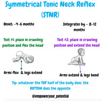 Symmetrical Tonic Neck Reflex (STNR) - PDF Poster by Empower your pOTential