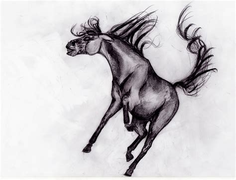 Angry Horse Drawing