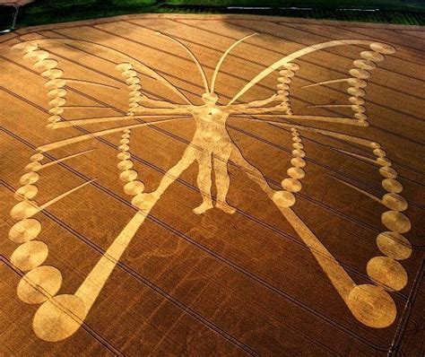 This human butterfly crop circle measures 530 by 450 meters. It appears to be a paralell to ...