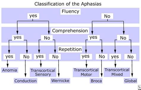 Useful, easy to read classification aphasia flowchart... I'll be ...