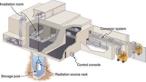 Processed Foods: Food Irradiation Process