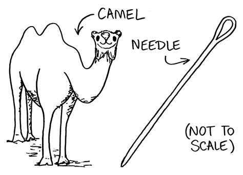 Blog of the Dormition: A Needle is a Needle and a Camel is a Camel.