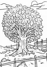 44 Tree Coloring Pages  Free Personalizable sketch template