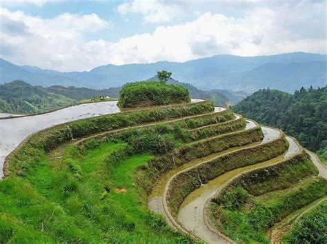 A Guide to Longsheng Rice Terrace Trek and Home Stay - TravelKiwis