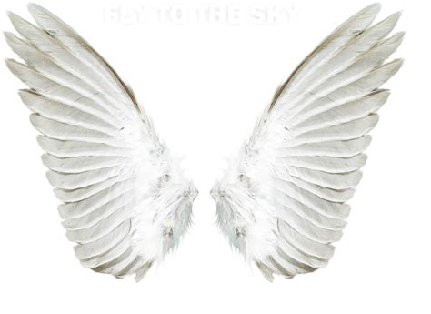 Angel Clip art - Angel wings png download - 2417*1760 - Free ...