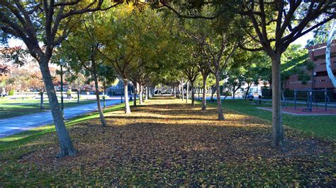 USC University Park Campus – Cello Expressions Photography