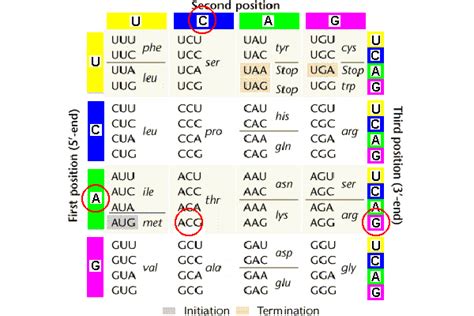 The Genetic Code