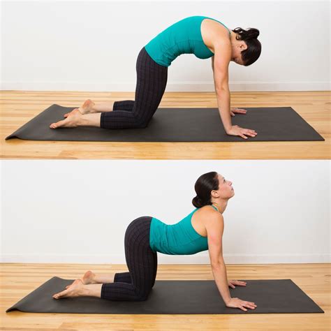 Cat and Cow | 15-Minute Relaxing Yoga Sequence For Stress Relief | POPSUGAR Fitness UK Photo 2