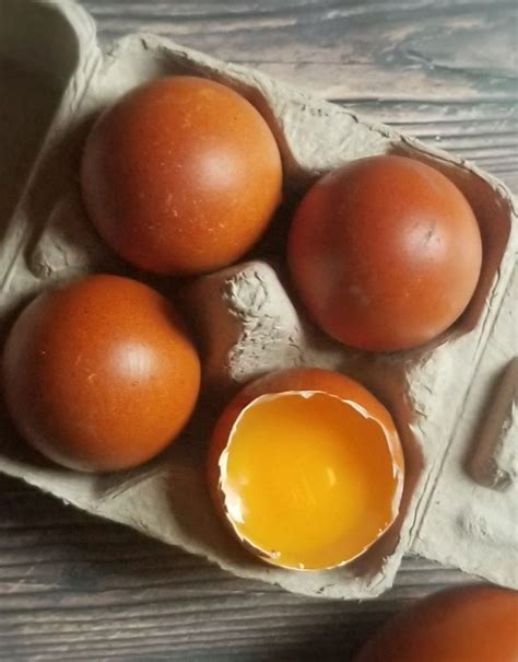 What Makes Egg Yolks Orange? - Fresh Eggs Daily® with Lisa Steele