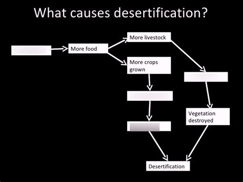 Desertification Diagram